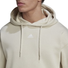 adidas Kapuzenpullover Essentials Feelvivid Baumwolle aluminiumgrau Herren